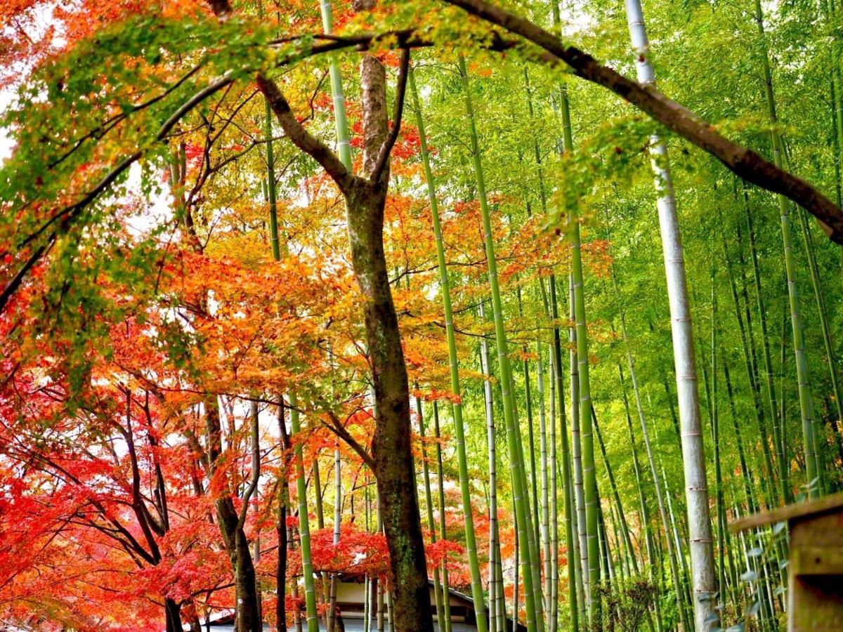 Kyoto Yadomachi Nishijin Apartment Ngoại thất bức ảnh